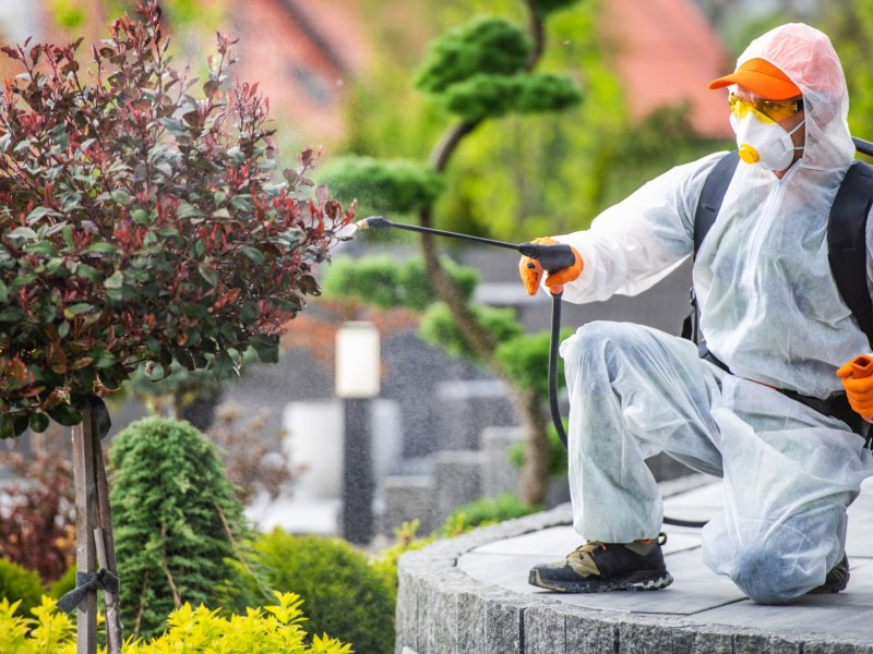 Bahçelerarası Haşere İlaçlama